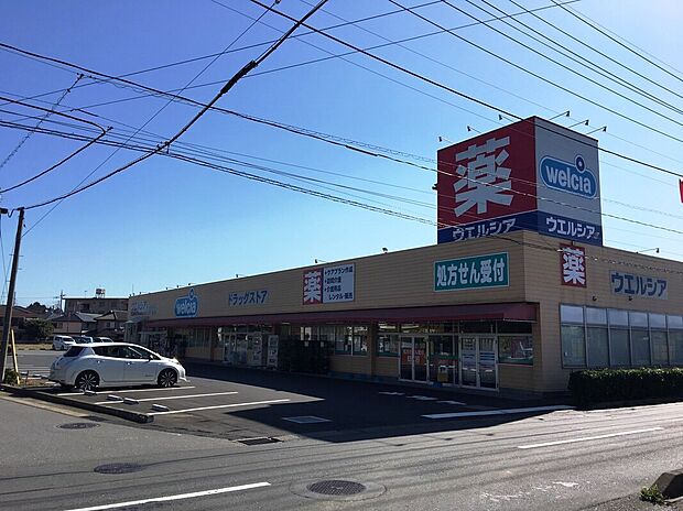 ウエルシア(約525m)