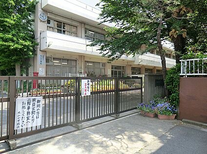 丸山小学校　※小学校選択地域 966ｍ
