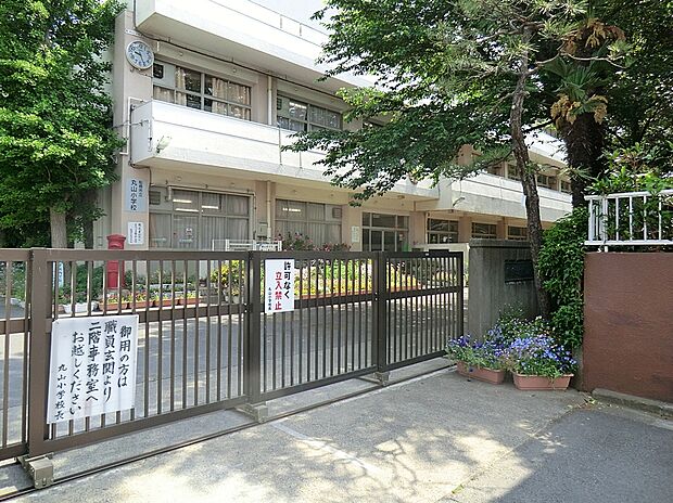 丸山小学校 ※小学校選択地域(約966m)
