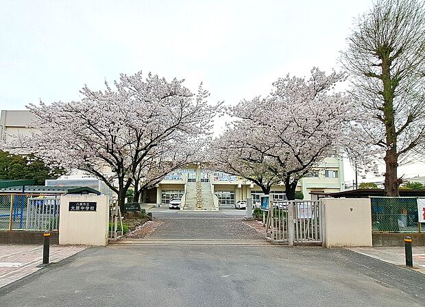 大原中学校（約1,050m）
