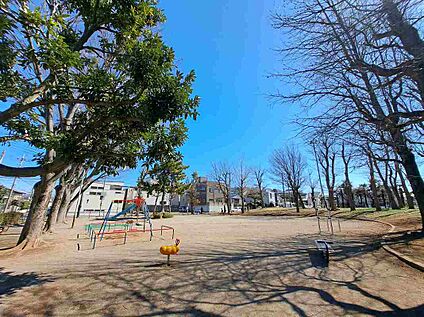 ひばり公園 135ｍ