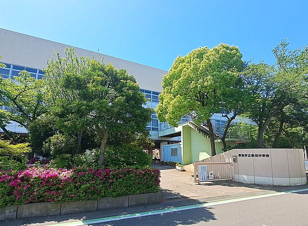 新田中学校(約730m)