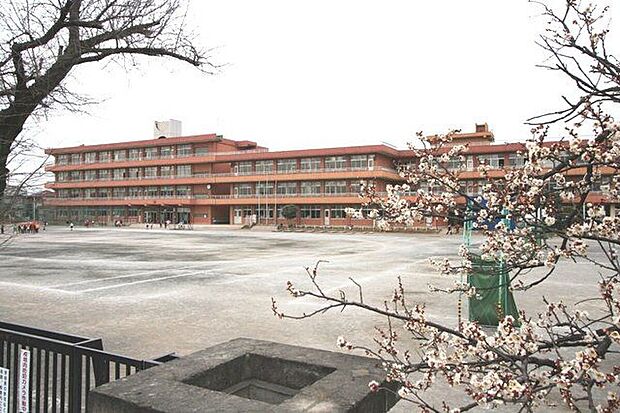 入間市立藤沢東小学校(約550m)