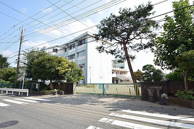 千代田小学校（約1m）