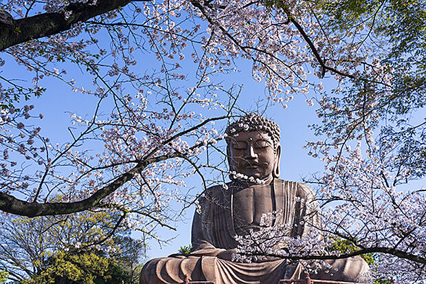 聚楽園公園（約830m）