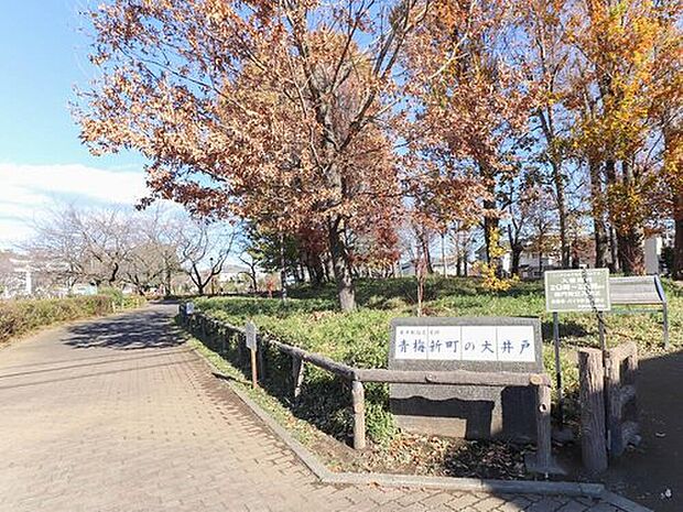 大井戸公園(約870m)