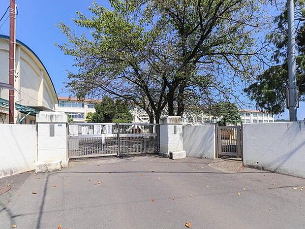 八王子市立第九小学校(約501m)