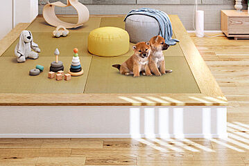 ポラスの分譲住宅 ひととき和光 その他