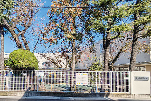 草加氷川幼稚園(現地より徒歩10分)