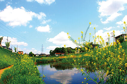 大堀川水辺公園（現地より徒歩17分） 約1350m