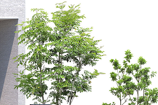 【【住まいのアクセントとなる緑豊かな植栽】】道行く人たちの心を和ませてくれる植栽を街にデザインしました。木々を植樹し鮮やかに街を彩っています。※植栽の種類は号棟により異なります。
