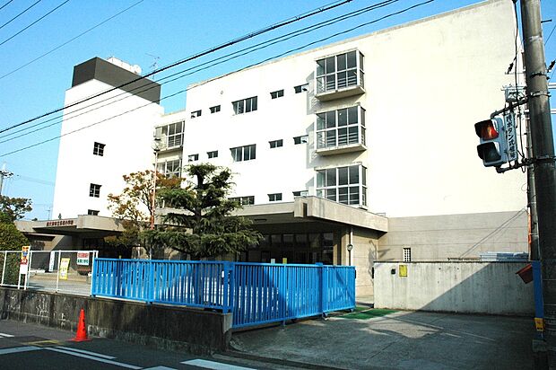 市立条東小学校(約880m)