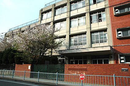 条南小学校 1200ｍ(徒歩15分)