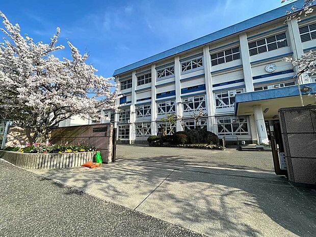 東谷中学校（約800m）