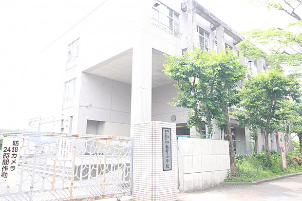 粕壁小学校（約599m）