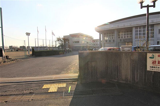 篠津中学校（約714m）