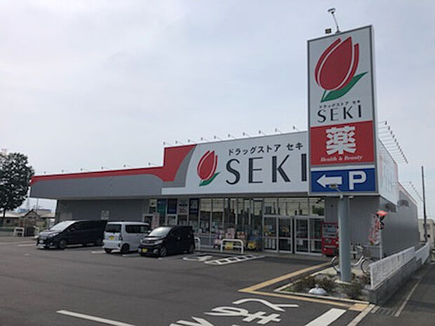 ドラッグストアセキ坂田西店（約220m）