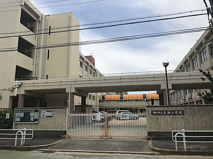 有瀬小学校 800ｍ(徒歩10分)