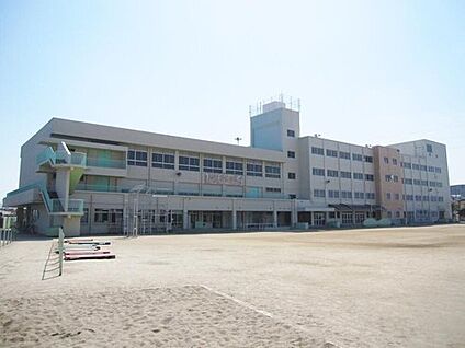 八尾市立高安西小学校 約700m (徒歩9分)