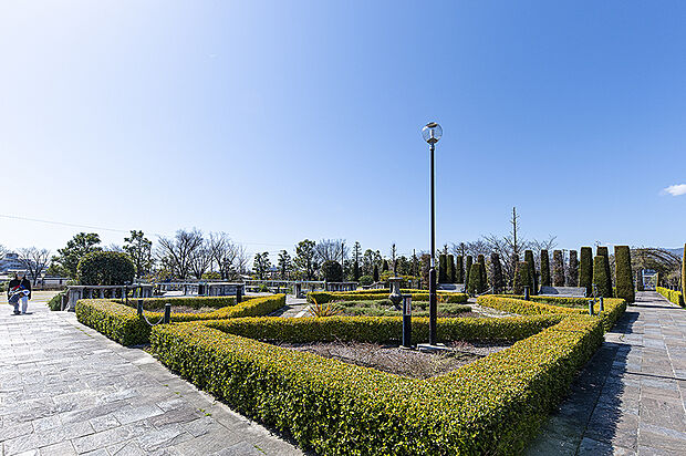 山本新池公園