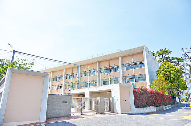精道小学校