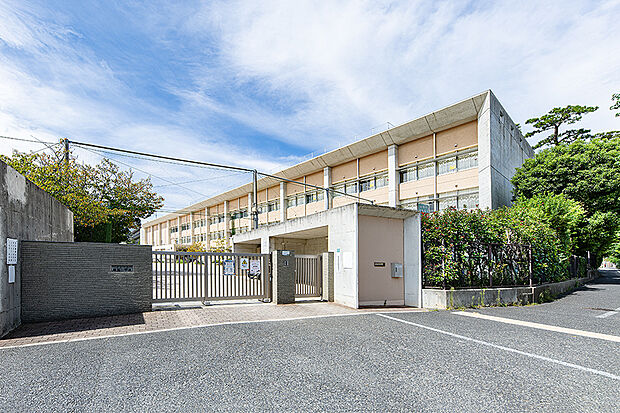 精道小学校