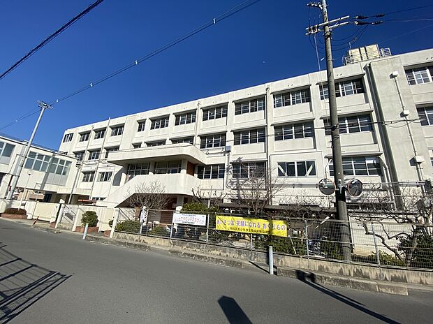 羽曳野市立古市小学校