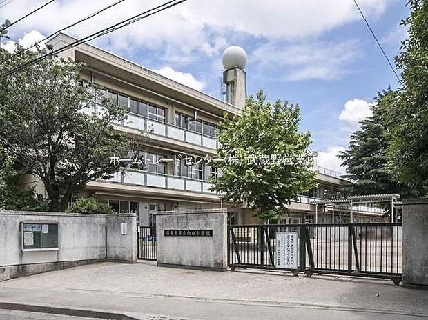 西東京市立向台小学校（約950m）