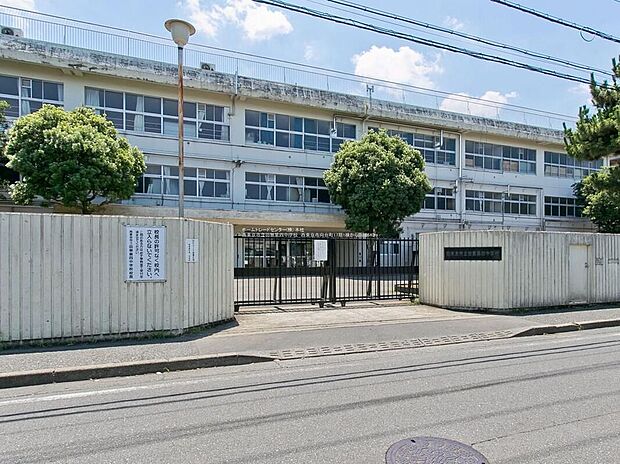 西東京市立田無第四中学校（約600m）