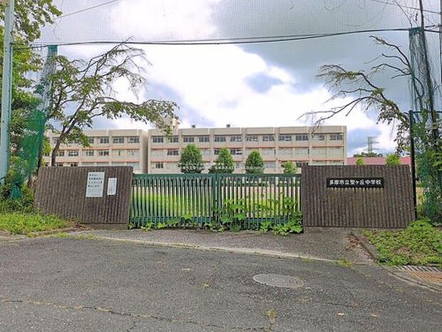 多摩市立聖ヶ丘中学校(約800m)