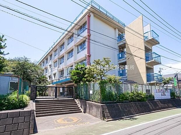 三鷹市立大沢台小学校(約350m)
