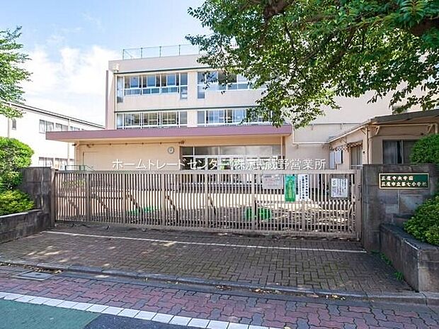 三鷹市立第七小学校(約550m)
