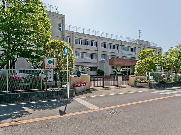 柏市立花野井小学校（約500m）