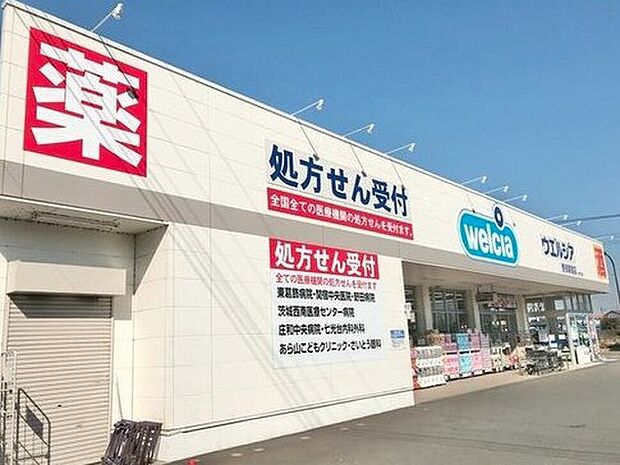 ウエルシア野田関宿店(約500m)