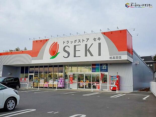 ドラッグストアセキ柏高田店（約290m）