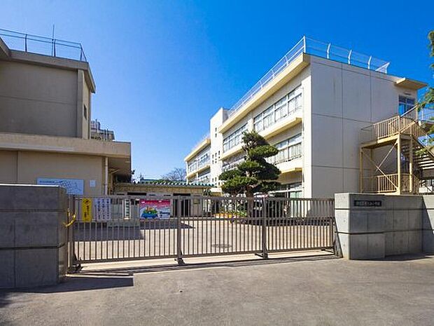 柏市立光ケ丘小学校（約800m）