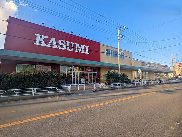 カスミフードスクエア柏千代田店（約550m）