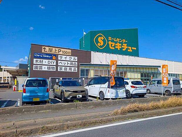 セキチュー 柏の葉十余二店(約2,400m)