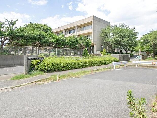 白井市立池の上小学校（約350m）