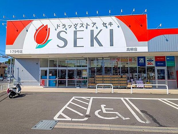 ドラッグストアセキ高柳店(約500m)