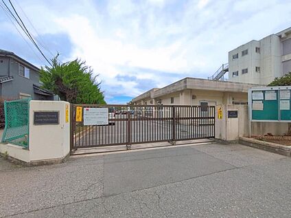 柏市立柏第二中学校 1100m(徒歩14分)
