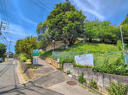 柏市立土中学校 1100m(徒歩14分)