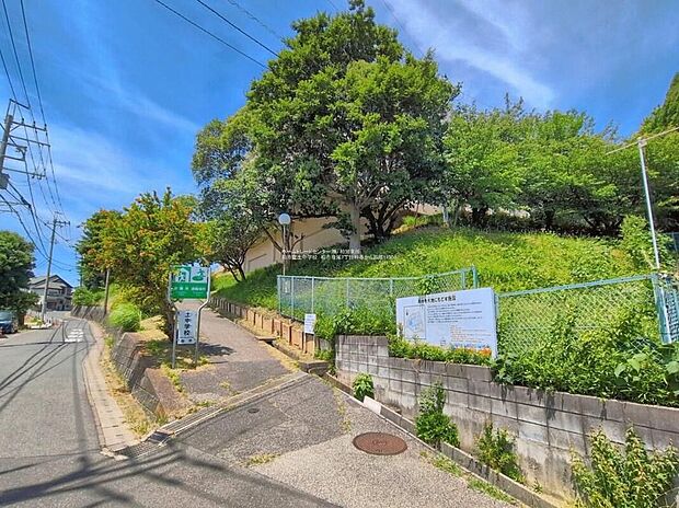 柏市立土中学校(約1,100m)