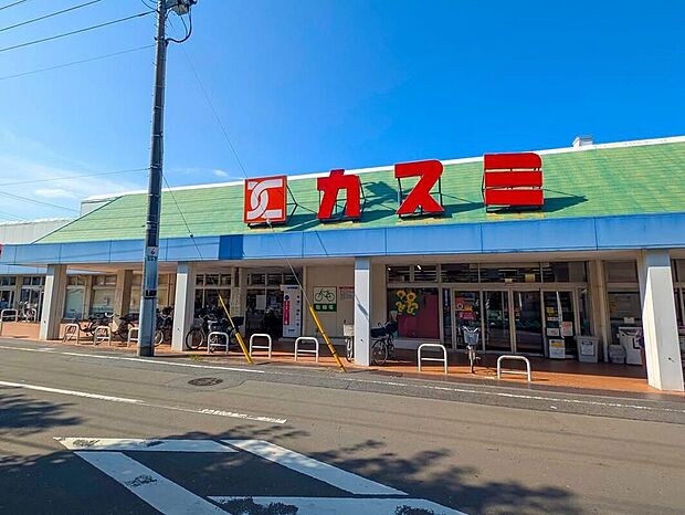 カスミ湖北店（約1,000m）