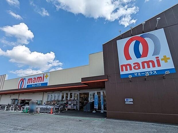 マミープラス柏根戸店（約900m）