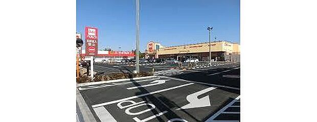 ベルク岩槻宮町店（約500m）