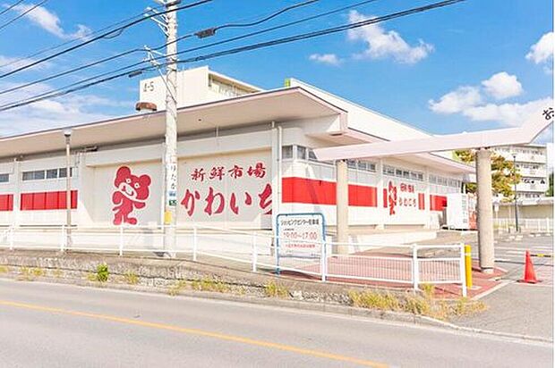 かわいち尾山台店（約750m）