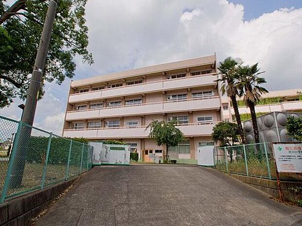上尾市立芝川小学校(約350m)