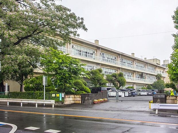 さいたま市立宮原小学校（約920m）