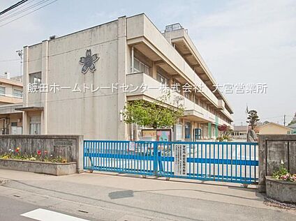 上尾市立大谷小学校 750ｍ(徒歩10分)
